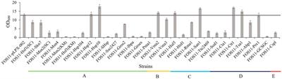 Enhancing the thermotolerance and erythritol production of Yarrowia lipolytica by introducing heat-resistant devices